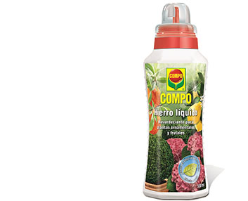Hierro líquido para reverdecer las plantas